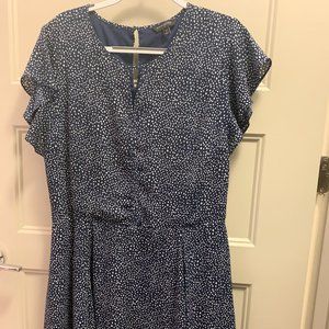 Navy Polka Dot Banana Republic Dress